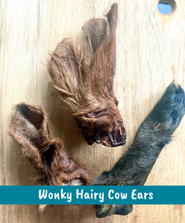WONKY SALE Hairy Cows Ears