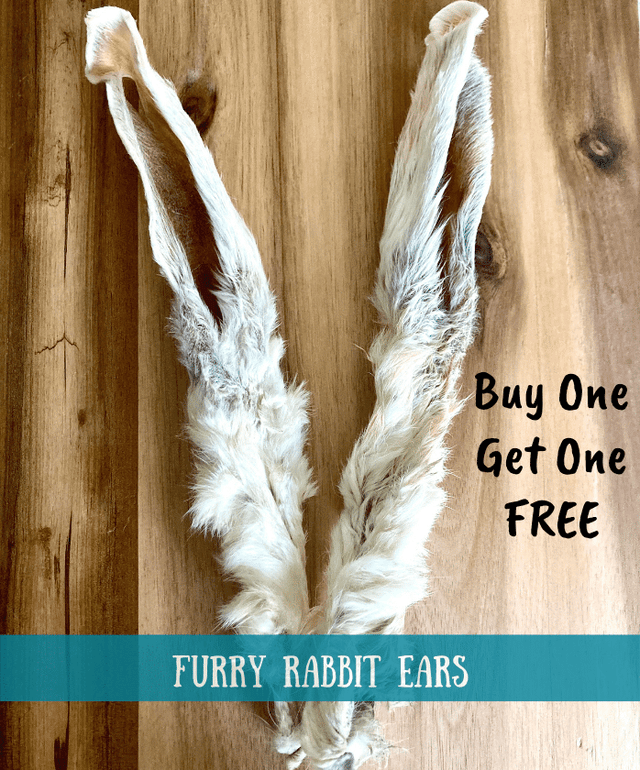 Furry Rabbit Ears - Buy One Get One Free