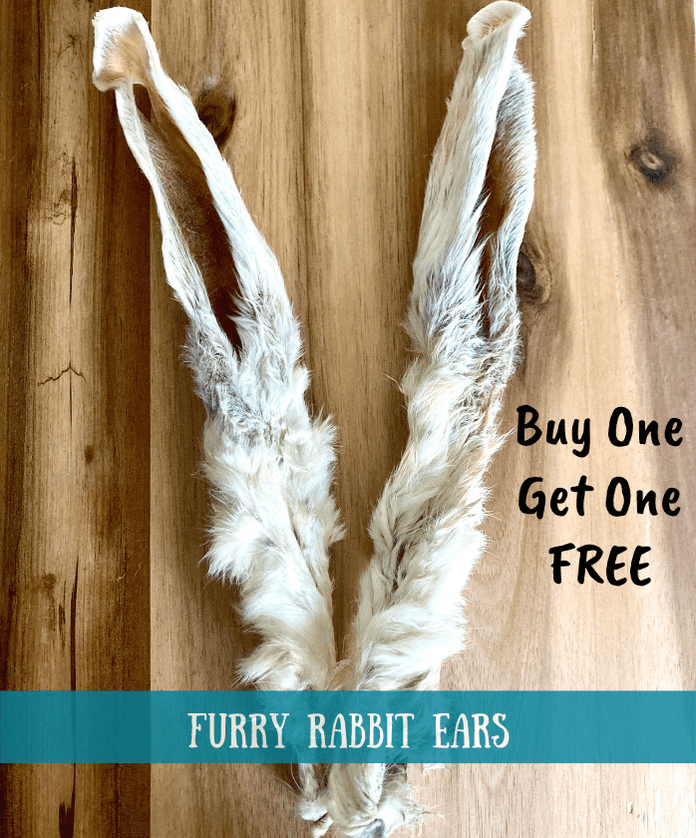 Furry Rabbit Ears - Buy One Get One Free